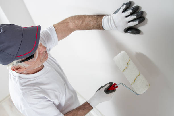 Best Comprehensive Air Testing for Mold Contaminants  in Brookside Village, TX