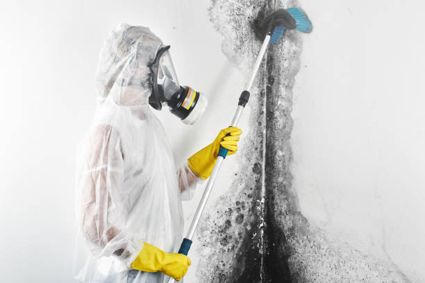 Best Post-Remediation Verification Testing  in Brookside Village, TX