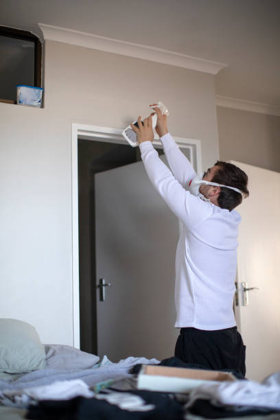 Best Mold Removal for HVAC Installations  in Brookside Village, TX