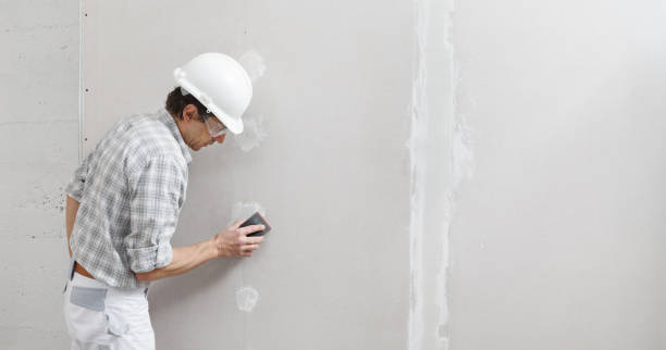 Best Environmental Consulting for Mold Prevention  in Brookside Village, TX