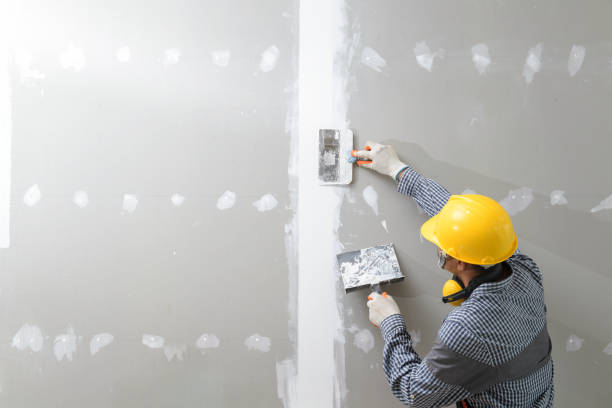 Best Mold Documentation for Insurance Claims  in Brookside Village, TX