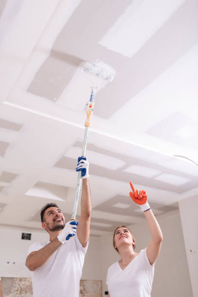 Best Mold Prevention Services  in Brookside Village, TX