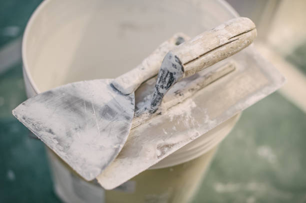 Best Emergency Mold Remediation  in Brookside Village, TX