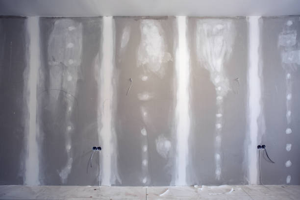Best Mold-Related Health Consultation  in Brookside Village, TX