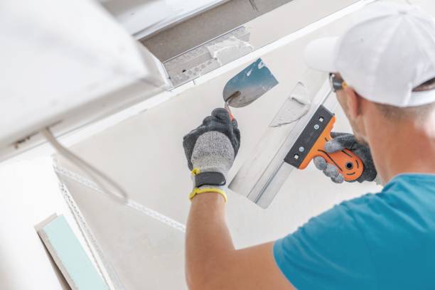  Brookside Village, TX Mold Removal Pros